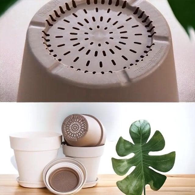 《斑啾植選》透氣疏水盆40#僅宅配｜北歐風｜附底盤｜盆栽容器｜簡約無印風 ｜盆器｜多肉植物｜觀葉植物