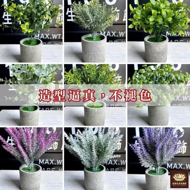 【PiNYU 品柚生活傢飾館】仿水泥假盆栽(北歐風仿水泥盆仿真植物仿真綠植物 綠化盆栽 小盆栽尤加利室內盆栽)