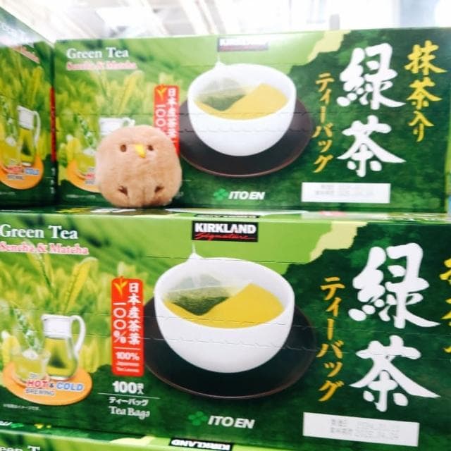 【Kirkland Signature 科克蘭】日式綠茶茶包 100入 伊藤園代工 立體茶包 冷泡 熱泡 日式 綠茶 日式綠茶 茶包 綠茶茶包