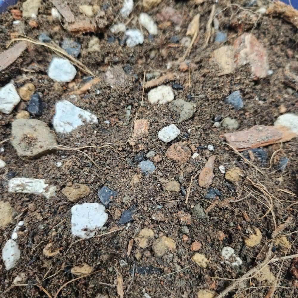 【欣榮園藝資材行】中大型盆栽專用土1公升 小型果樹 木本植物 白水木 琴葉榕 泥炭土 培養土 陽明山土