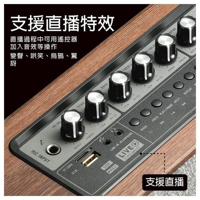 震天雷 6.5吋-實木肩攜式 KTV 藍牙 音響/麥克風需加購