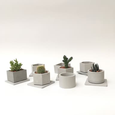 【島人手作】迷你植栽花器組合- 4個花器+4棵植栽+種植工具(生日禮物 母親節禮物 畢業禮物)