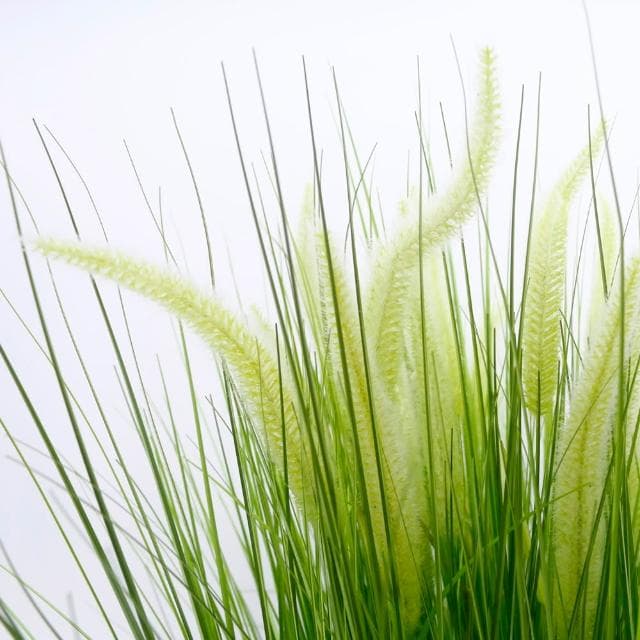 【HUGO DECO 榆果傢飾】高擬真蘆葦藤籃植栽 免運專人配送限雙北市佈置/仿真植物/綠化/落地植物/喬遷