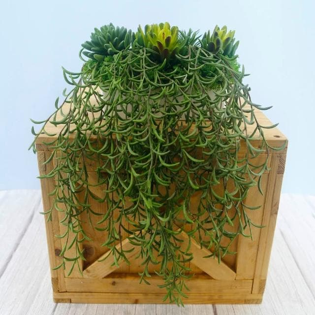 【HUGO DECO 榆果傢飾】高擬真紫弦月藤蔓植栽(擬真植物/禮物/綠化/永不凋零/佈置/蕨類)