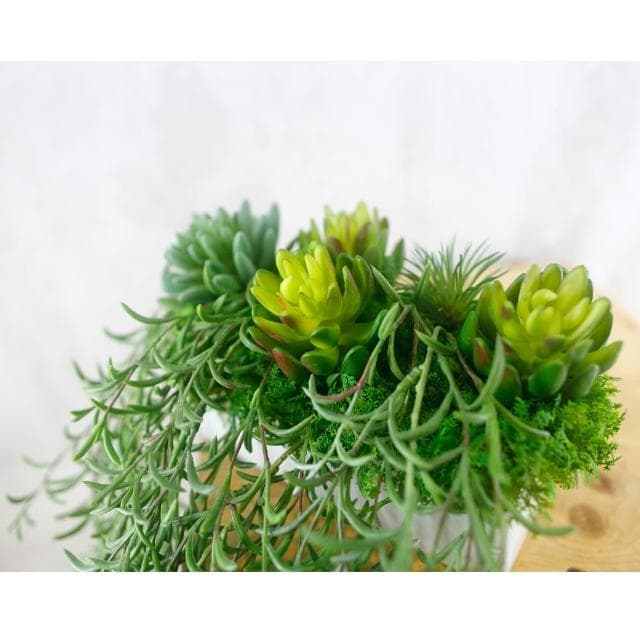 【HUGO DECO 榆果傢飾】高擬真紫弦月藤蔓植栽(擬真植物/禮物/綠化/永不凋零/佈置/蕨類)