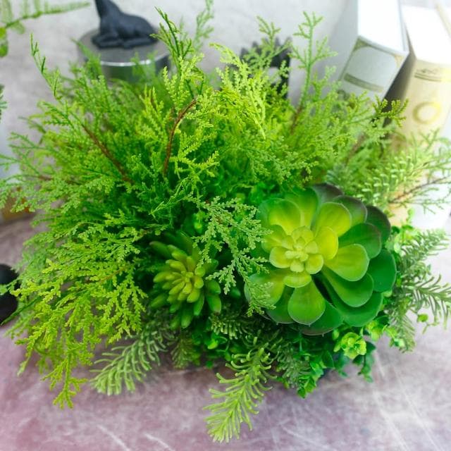 【HUGO DECO 榆果傢飾】高擬真蕨草多肉植物盆栽(擬真植物/禮物/綠化/永不凋零/佈置/蕨類)