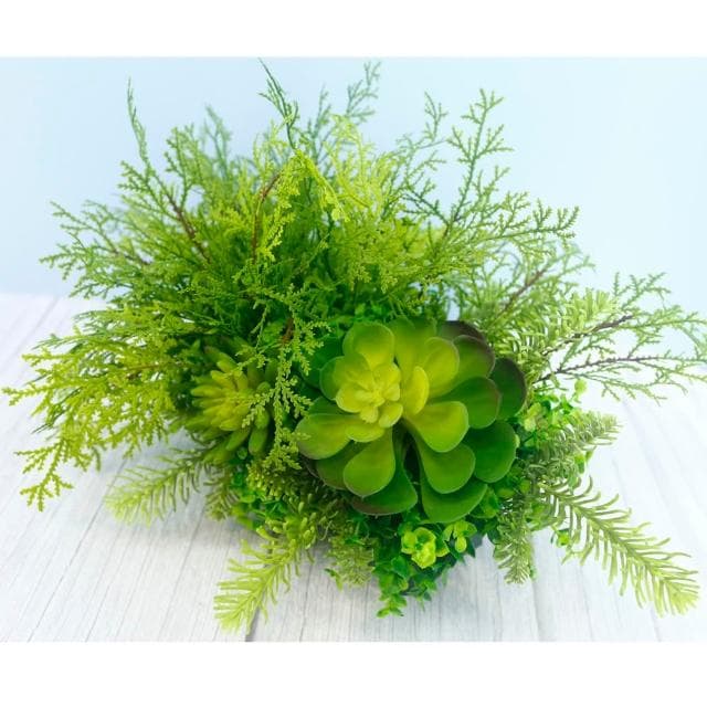 【HUGO DECO 榆果傢飾】高擬真蕨草多肉植物盆栽(擬真植物/禮物/綠化/永不凋零/佈置/蕨類)