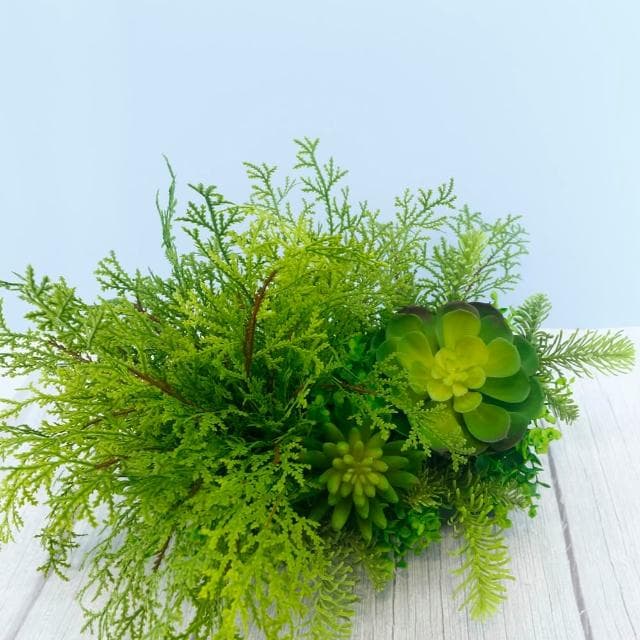 【HUGO DECO 榆果傢飾】高擬真蕨草多肉植物盆栽(擬真植物/禮物/綠化/永不凋零/佈置/蕨類)