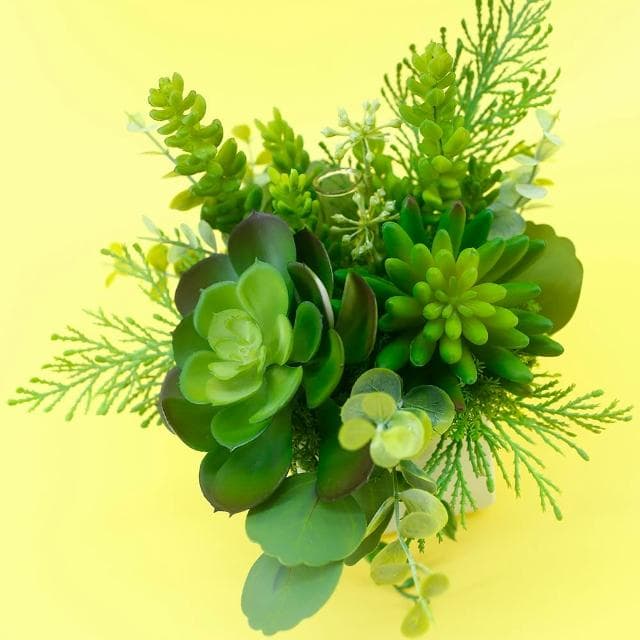 【HUGO DECO 榆果傢飾】小寶石蓮多肉香氛植栽(擬真植物/人造盆栽/綠化/佈置/禮物)