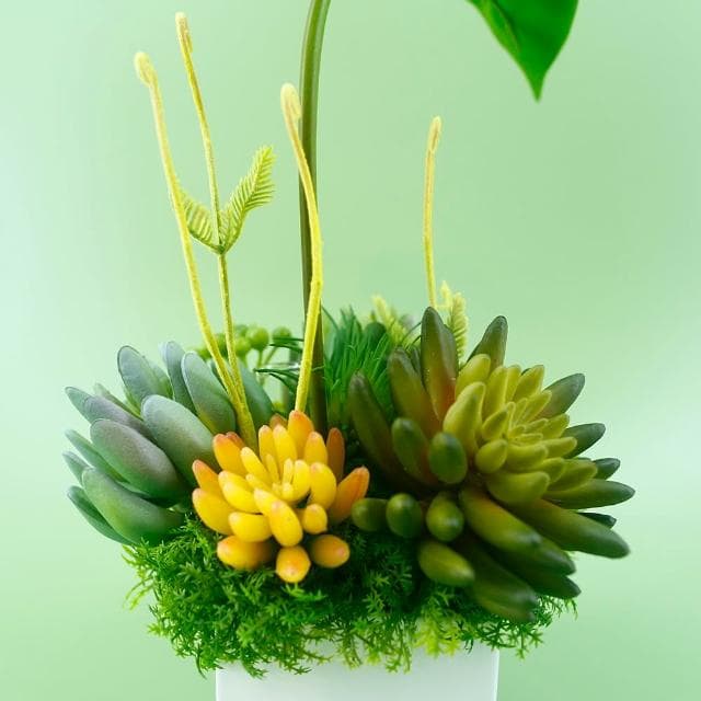 【HUGO DECO 榆果傢飾】觀音蓮葉佛手蓮香氛植栽(擬真植物/人造盆栽/綠化/佈置/禮物)