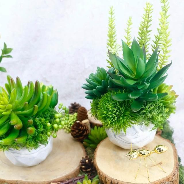 【HUGO DECO 榆果傢飾】蘆薈多肉組合香氛植栽(擬真植物/人造盆栽/綠化/佈置/禮物)