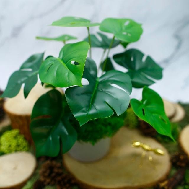 【HUGO DECO 榆果傢飾】擬真龜背芋 電信蘭香氛植栽 低款(擬真植物/人造盆栽/綠化/佈置/禮物)