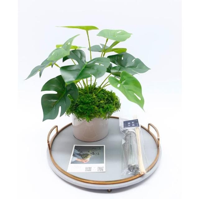 【HUGO DECO 榆果傢飾】擬真龜背芋 電信蘭香氛植栽 低款(擬真植物/人造盆栽/綠化/佈置/禮物)