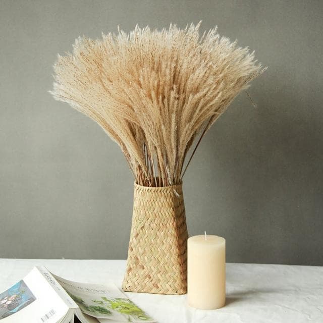 【BlueCat】天然乾燥拂塵草(乾花 乾燥花 天然植物 景觀植栽 花材裝飾 居家佈置 園藝花藝)