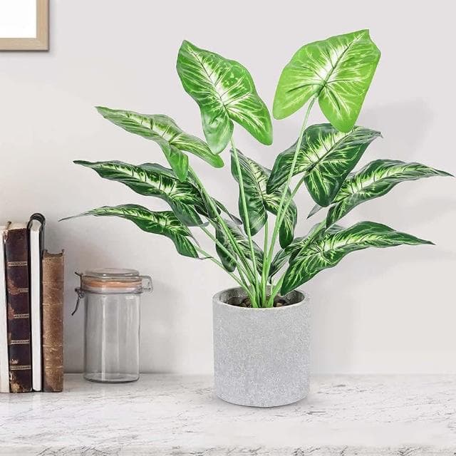 【Warm House Decor 暖和家居】台灣現貨北歐仿真植物擺飾(植物盆栽 仿真盆栽 仿真植物 植栽 仿真花 仿真植物 擺飾 居家裝飾 裝飾植物北歐仿真植物擺飾 植物盆栽 仿真盆栽 仿真植物 植栽 仿真花 仿真植物 擺飾 居家裝飾 裝飾植物)