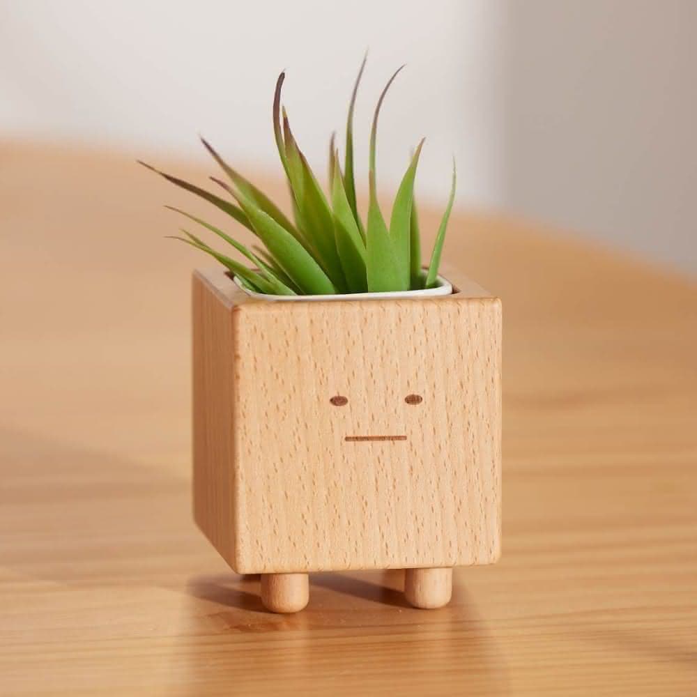 【Monarch 尊爵家】療育小盆獸盆栽(原木文創 台灣設計 花盆 盆栽 植栽 多肉 植物 花器 室內小盆栽 交換禮物)