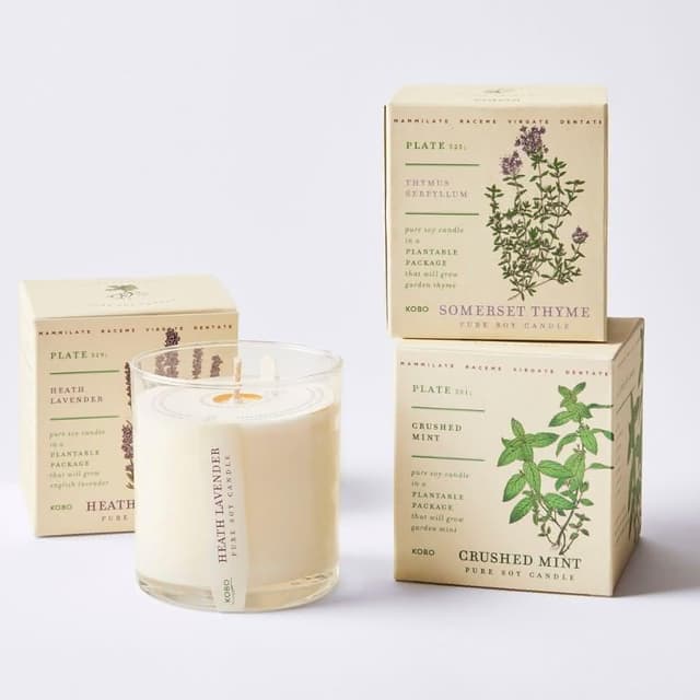 ❰KOBO❱ 可種植的天然香氛蠟燭 285g(100%零浪費、多種香味自由選、無黑煙、美國精品)