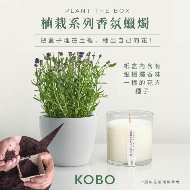 ❰KOBO❱ 可種植的天然香氛蠟燭 285g(100%零浪費、多種香味自由選、無黑煙、美國精品)