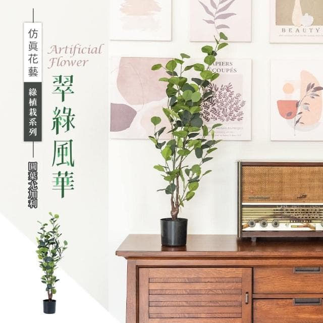 【dayneeds 日需百備】仿真草植-綠植栽系列/翠綠風華 圓葉尤加利室內植物/懶人盆栽/室內盆栽/落地植栽