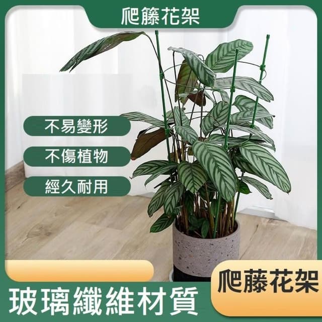 爬籐花架 盆栽支撐架 藤蔓支架 爬藤架 花盆架 植物架 攀爬架 爬藤杆 環狀爬藤架 球型花架 園藝花架 支柱