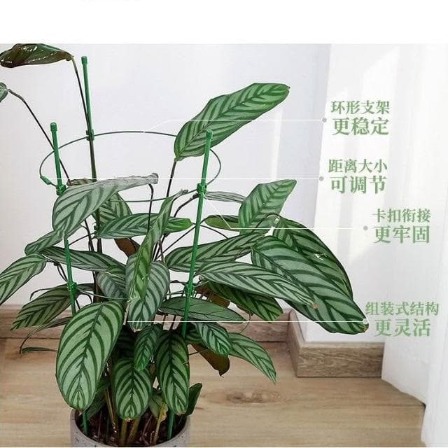 爬籐花架 盆栽支撐架 藤蔓支架 爬藤架 花盆架 植物架 攀爬架 爬藤杆 環狀爬藤架 球型花架 園藝花架 支柱