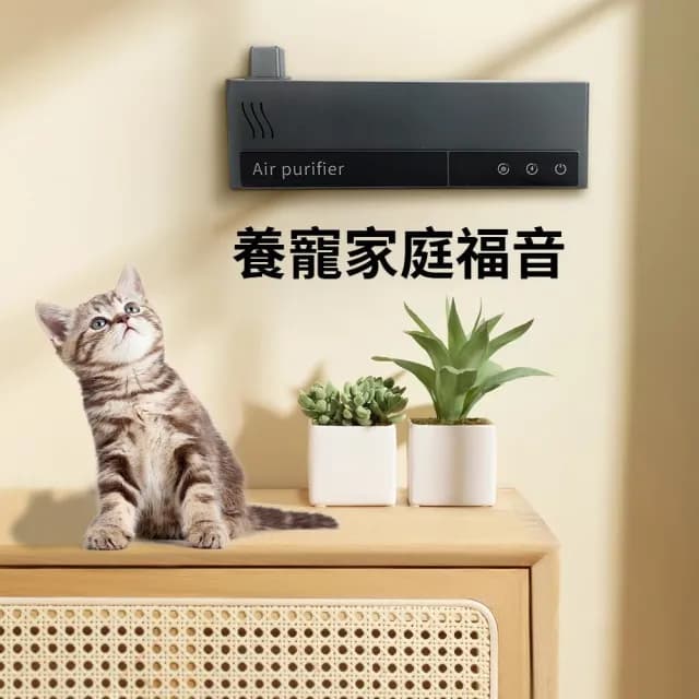 【IPSKY】負離子空氣淨化器（空氣清淨機 寵物淨味器 除臭去異味 0耗材）