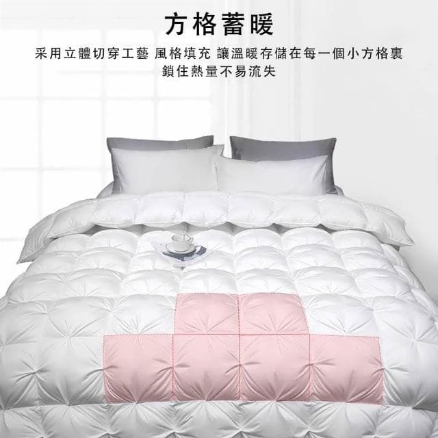 羽絨被 加厚保暖冬被芯 100白鵝絨羽毛被 100S全棉防羽面料羽絨被（蓬松保暖 方格鎖絨180*220CM  ）