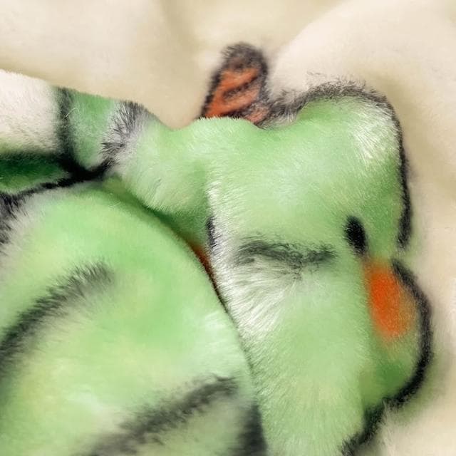 冬季拉舍爾毛毯加厚床上用小被子午睡毯學生宿舍床單人珊瑚絨蓋毯