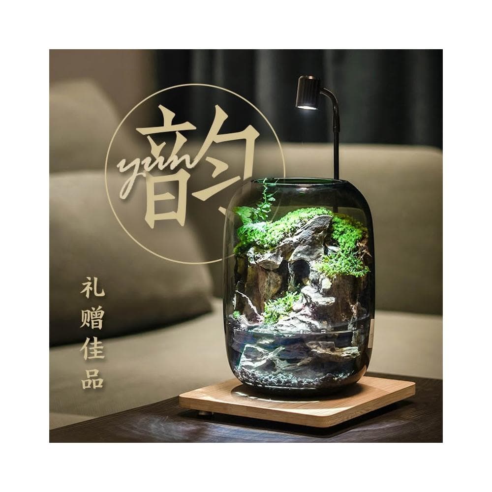 免運 青苔盆栽 盆栽 蘚微景觀生態瓶 辦公室盆栽 內桌面養魚綠植盆栽 造景觀植物盆栽 花盆