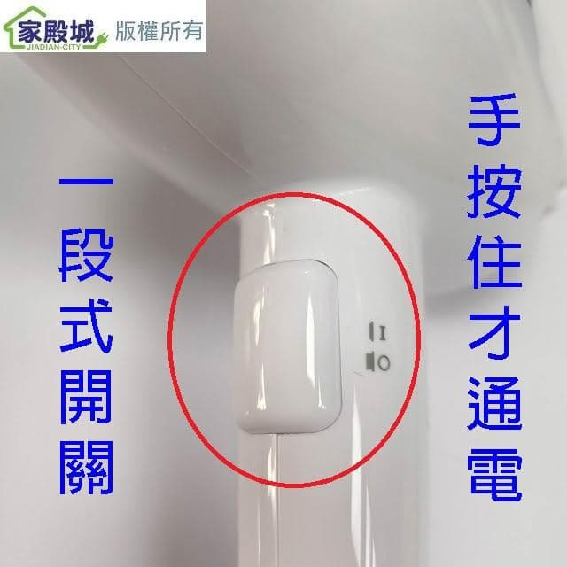 【達新牌】達新 TS-1899P 掛壁式吹風機