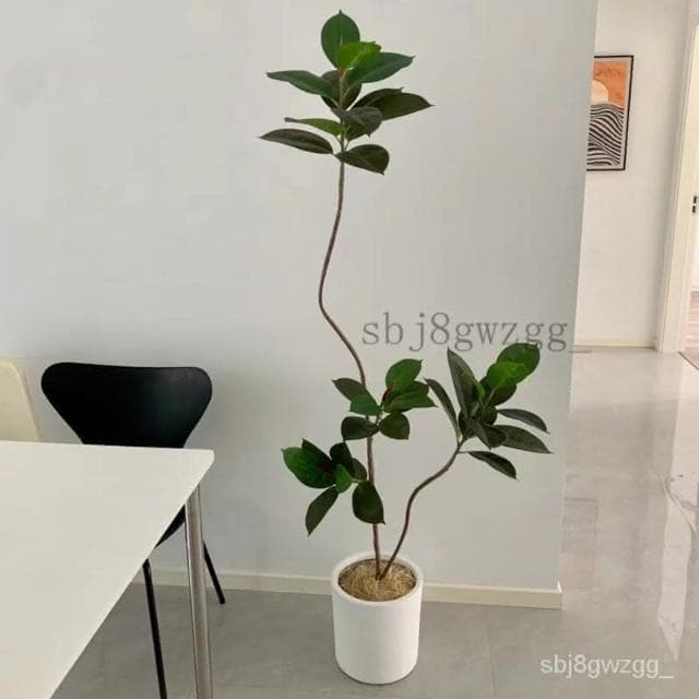 免運費 仿真綠植橡皮樹假綠植輕奢北歐客廳臥室裝飾落地式橡皮樹植物盆栽