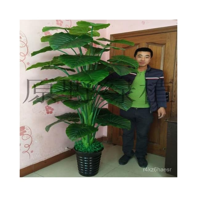 可開發票 假樹滴水觀音綠植仿真植物落地盆栽大型客廳盆景假花裝飾塑料花藝