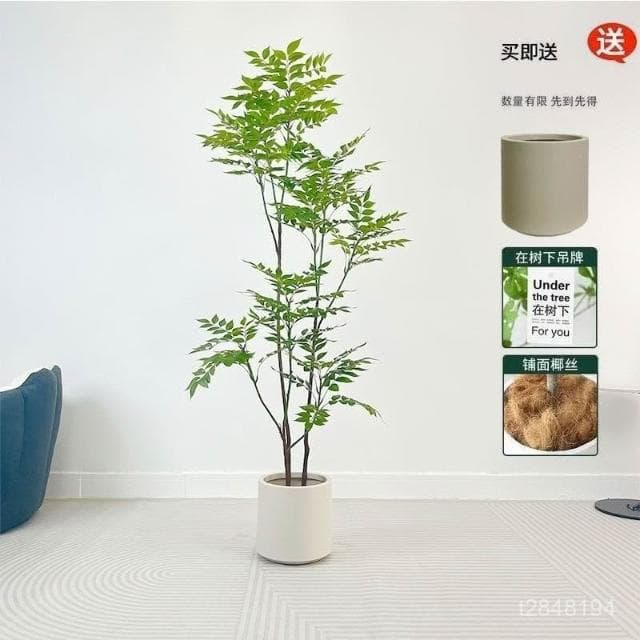 🔥免運🔥仿真綠植漆木樹輕奢室內客廳裝飾擺件盆栽仿生植物直播間造景假樹仿真植物 仿真盆栽 高端假植物 仿真花 假花植物
