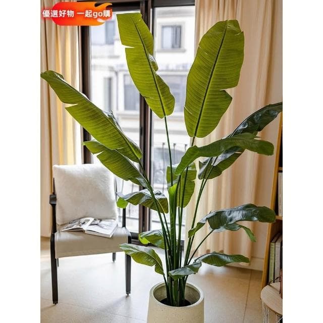 仿真綠植 芭蕉樹 天堂鳥 盆景 仿真植物 室內 仿真樹 大型裝飾 擺件 花器 園藝裝飾 仿真芭蕉葉 仿真盆栽