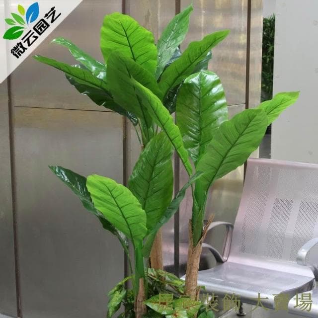 仿真綠植 樹 龜背葉 琴葉榕 芭蕉樹仿真植物盆栽客廳假樹塑料大型裝飾椰子綠植仿真樹落地盆景