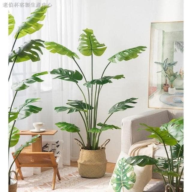 （附統編）160公分 仿真植物 北歐仿真龜背葉 龜背竽 檸檬樹 仿真竹子 植物盆栽 商業擺飾假花 綠化植