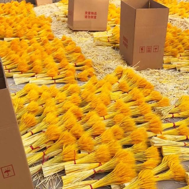桃甜也居家生活 天然黃金花店專用大麥穗乾花花束開幕花籃裝飾禮物拍攝道具小婚禮