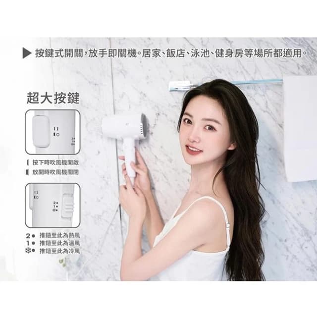 【達新牌】達新牌 飯店/民宿 (按鍵開關) 速乾 掛壁式/壁掛式 吹風機/整髮器 TS-1899P 替代TS-1399