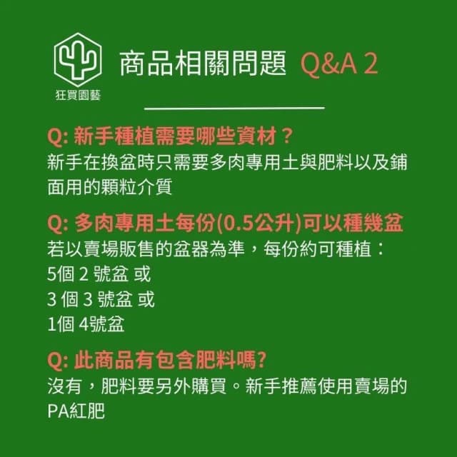 多肉植物 1寸小豆盆組(5入) 隨機出貨