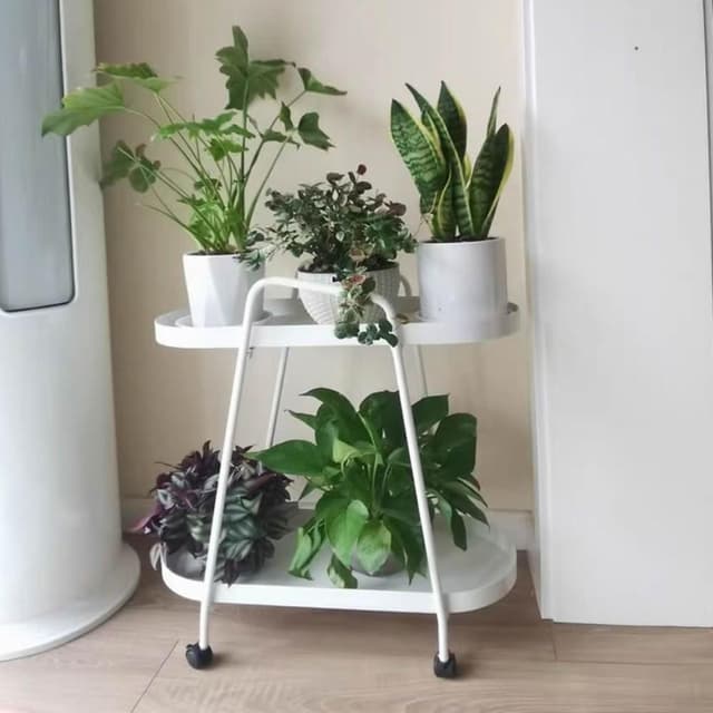 花架 花盆架 置物架 客廳鐵藝花架 臥室置物架 落地陽臺花架 多肉花盆託架盆栽架子植物擺放架
