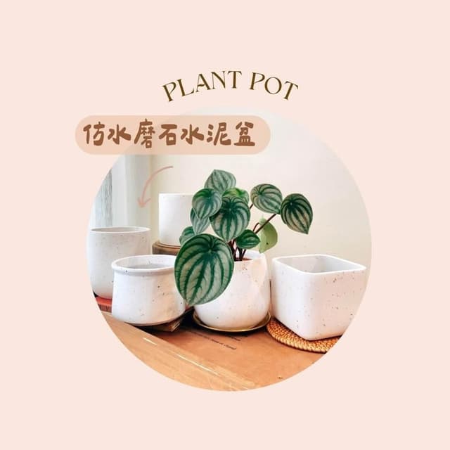 水泥盆 仿水磨石橢圓盆 水泥材質花盆 北歐風盆栽 觀葉植物適用 水磨石紋理 多肉專用盆