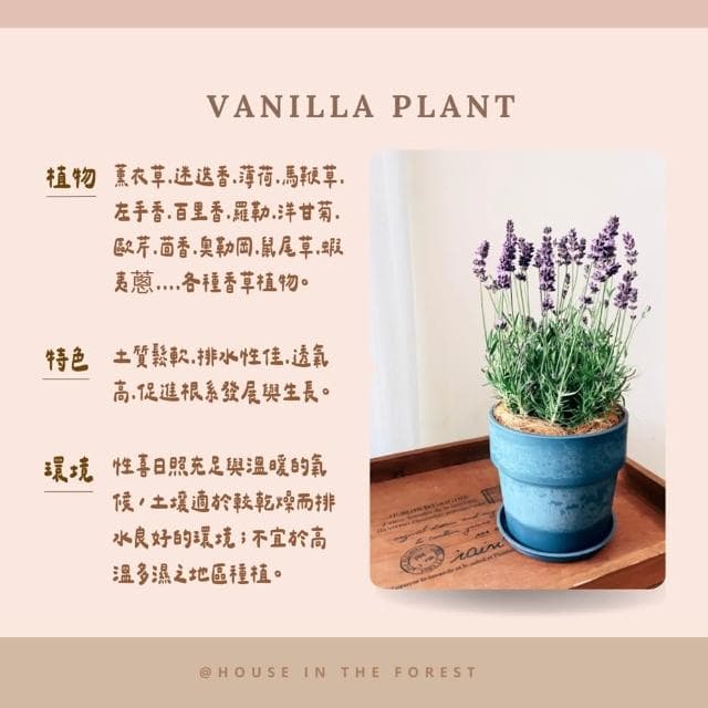 香草植物介質土 透氣保水設計 迷迭香羅勒專用 廚房香草必備 全效營養釋放 盆栽地栽皆宜