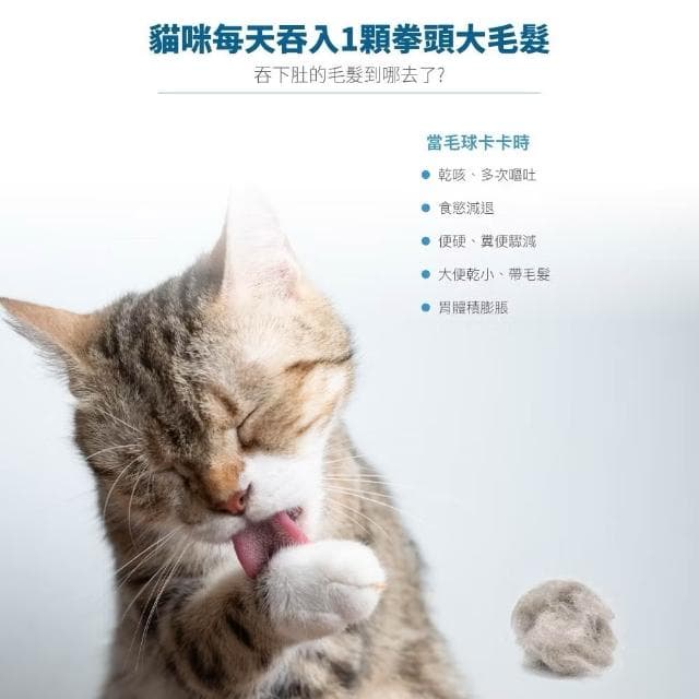 【MORESON 木入森】貓咪排毛粉 15包 30包/盒 貓草 鮮蝦 起司(排毛粉 化毛粉 貓咪保健品 貓咪保養品)