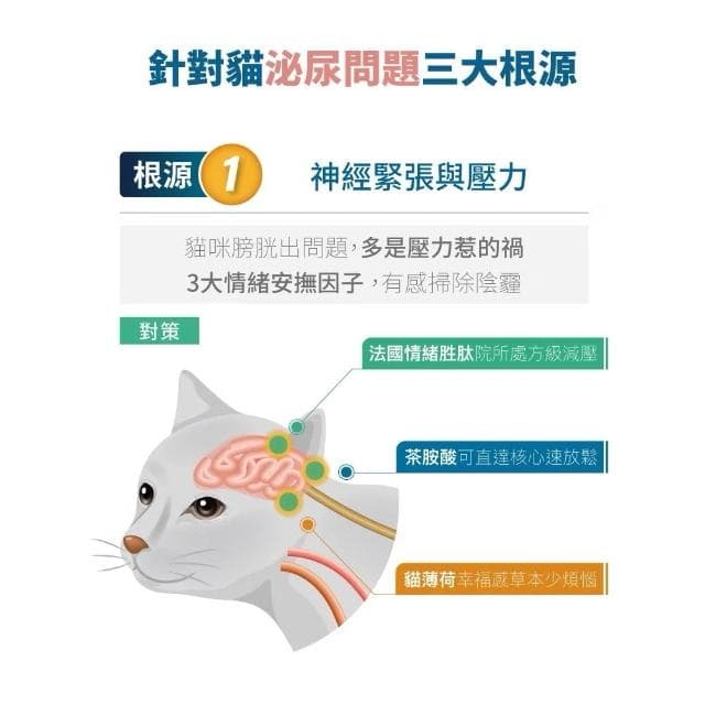 【MORESON 木入森】貓咪泌尿保健 30顆 60顆/盒 好規泌(泌尿保健 補充營養 貓咪保健品 貓咪保養品)