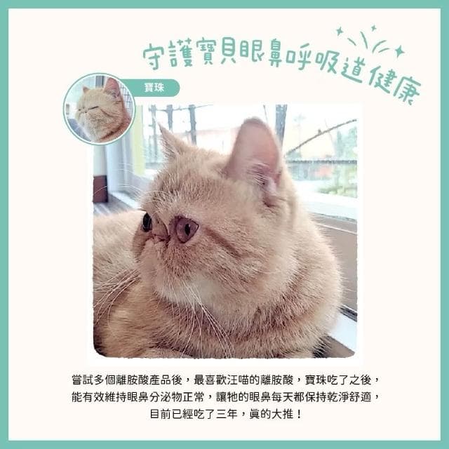 【汪喵星球】汪喵星球 100%PRUE離胺酸 50G(幫助眼鼻保養 呼吸道 淚痕 貓咪保健品 貓咪保養品)