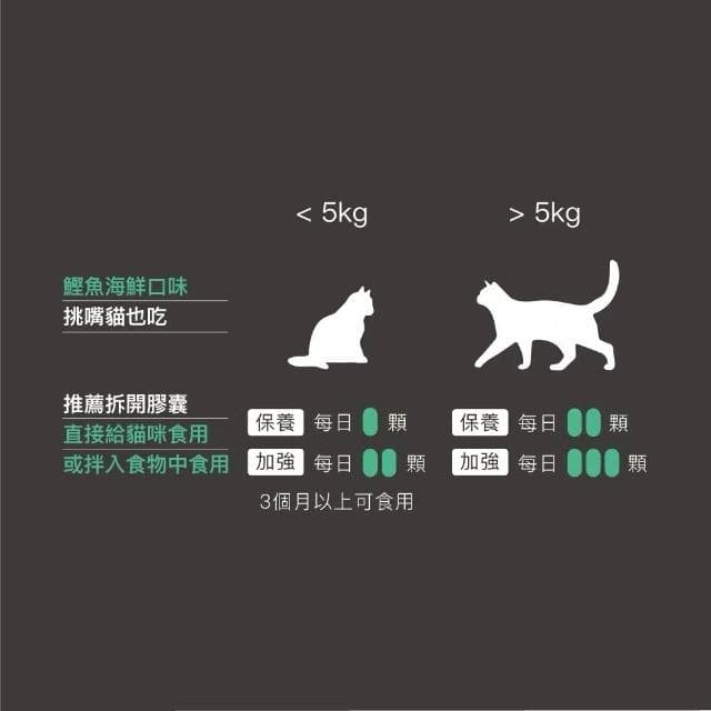 【MORESON 木入森】貓咪關節保健 30顆 60顆/盒 有關膝(骨骼保健 補充營養 貓咪保健品 貓咪保養品)