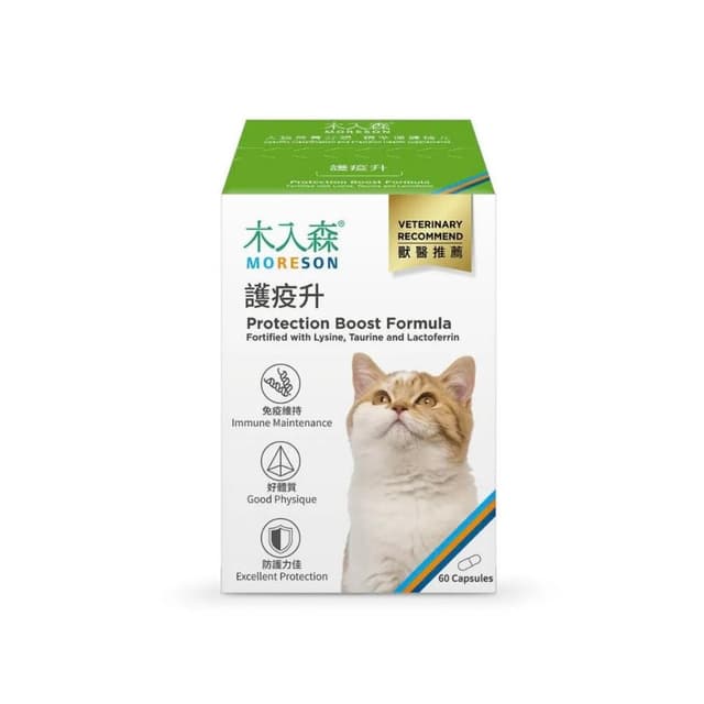 【MORESON 木入森】貓咪維持免疫力 30顆 60顆/盒 護疫升(補充營養 貓咪保健品 貓咪保養品)