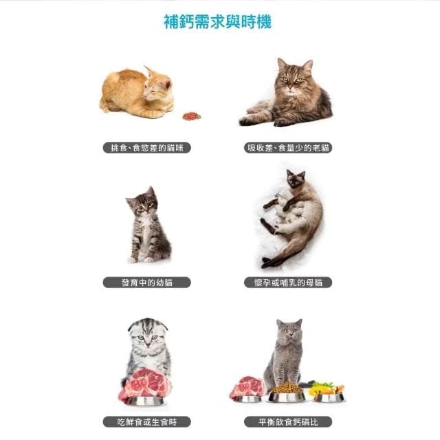 【MORESON 木入森】貓咪補充鈣質 15包 30包/盒 D藻鈣(補充鈣質 補充營養 貓咪保健品 貓咪保養品)