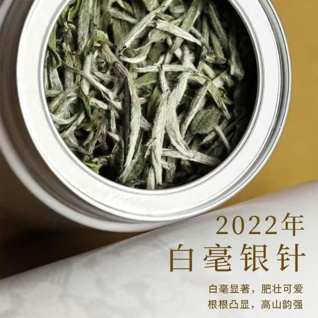 Camelliar頭春 福鼎白茶 白毫銀針 2022年 高山茶葉 老茶 老銀針 米粒芽 罐裝