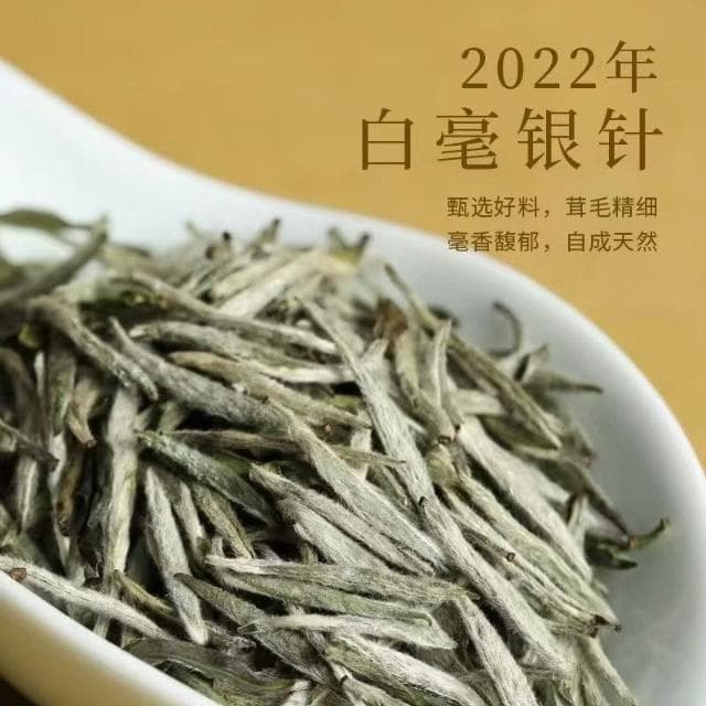 Camelliar頭春 福鼎白茶 白毫銀針 2022年 高山茶葉 老茶 老銀針 米粒芽 罐裝
